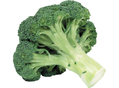 Broccoli