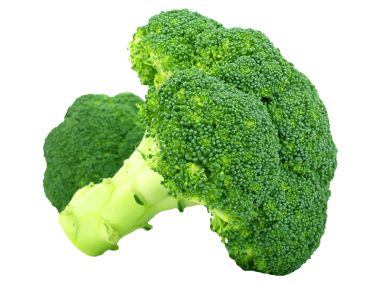 Broccoli