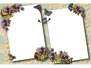 Butterflies Photo Frame
