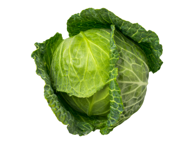 Cabbage