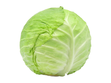 Cabbage