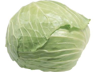 Cabbage