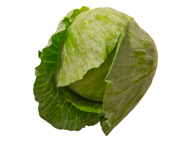 Cabbage