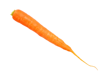 Carrot