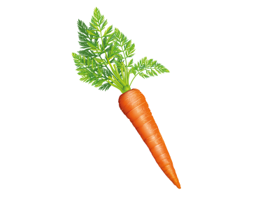 Carrot