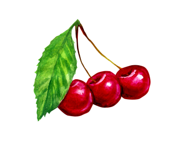 Cherry