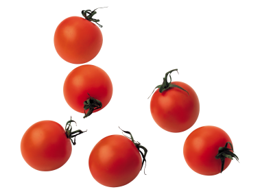 Cherry Tomato