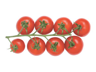 Cherry Tomato