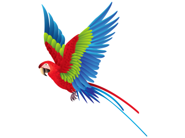 Colourful Parrot