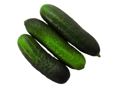 Cucumber