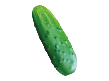 Cucumber