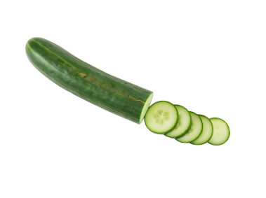 Cucumber