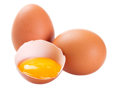 Egg