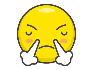 Face with Steam From Nose Emoji