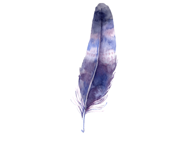 Feather