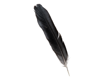 Feather