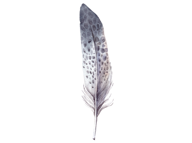 Feather