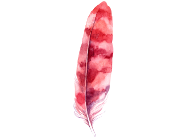 Feather