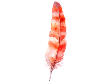 Feather