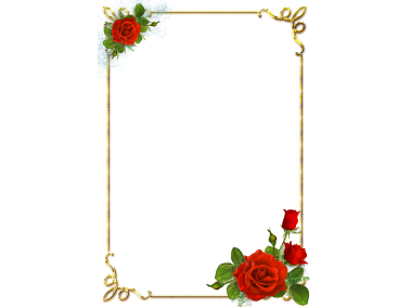 Flower Background Border