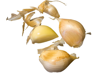 Garlic