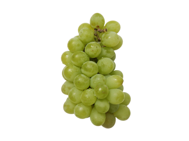 Grape