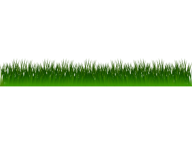 Green Grass