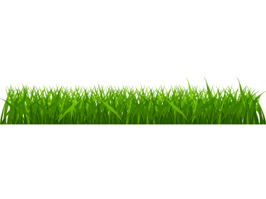 Green Grass