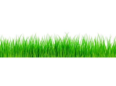 Green Grass