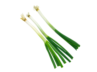 Green Onion