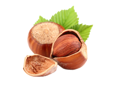 Hazelnut