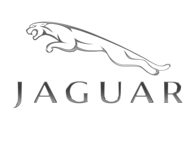 Jaguar Metallic Logo