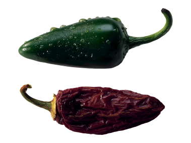 Jalapeno Pepper