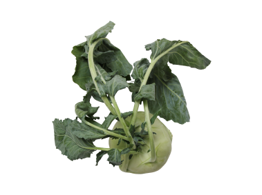 Kohlrabi