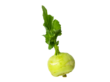 Kohlrabi