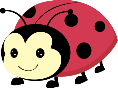 Ladybug