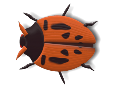 Ladybug