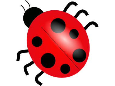 Ladybug