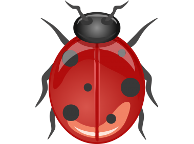 Ladybug