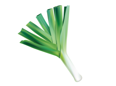 Leek