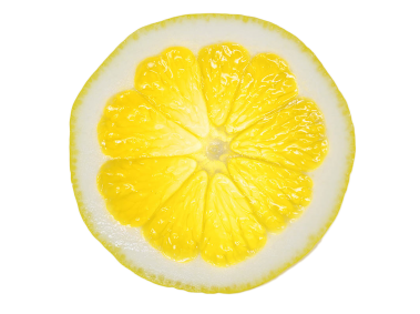 Lemon Slice