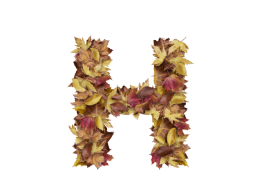 Letter H from Dry Leaves