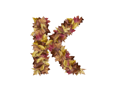 Letter K from Dry Leaves