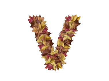 Letter V from Dry Leaves