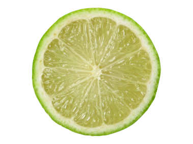 Lime Slice
