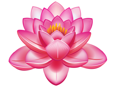 Lotus Flower