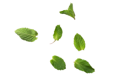 Mint Leaves