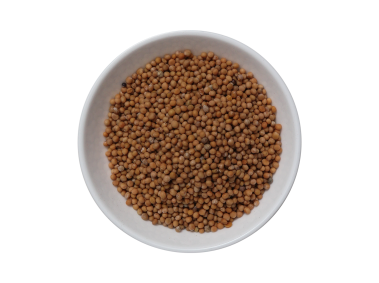 Mustard Seeds