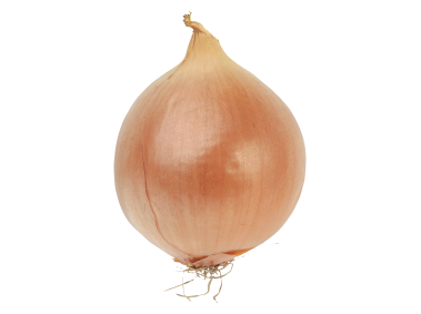 Onion