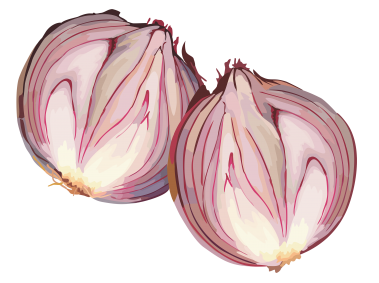Onion